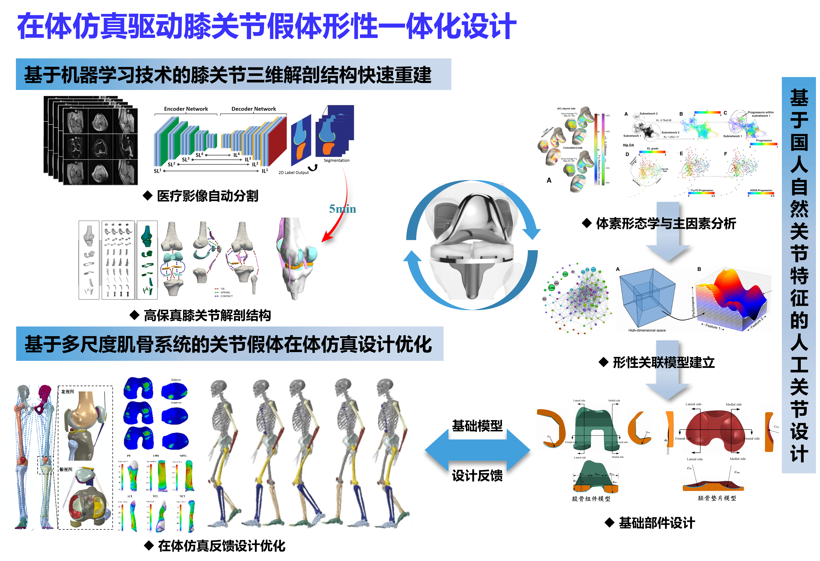 在体仿真驱动膝关节假体形性一体化设计
