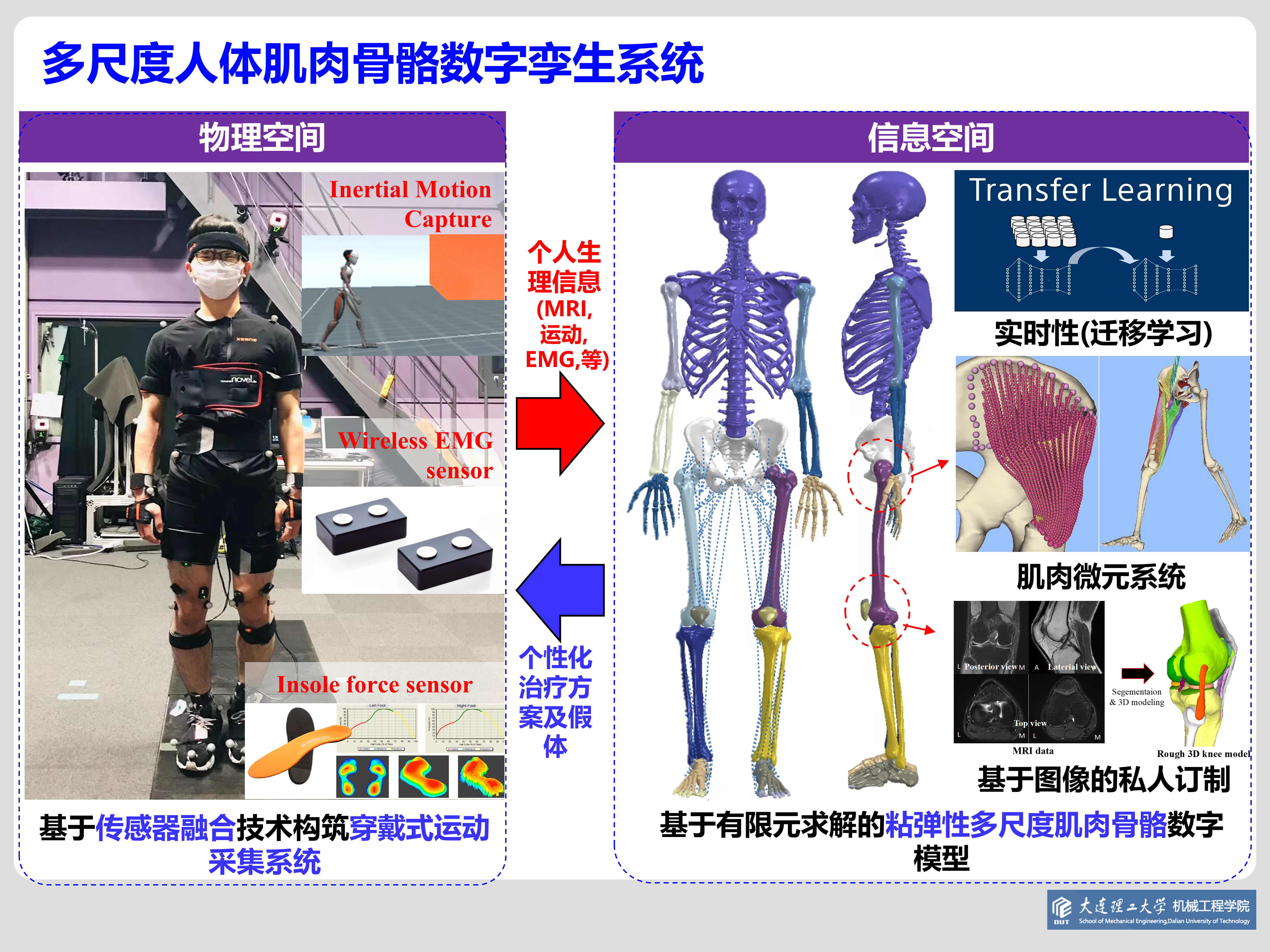 多尺度人体肌肉骨骼数字孪生系统